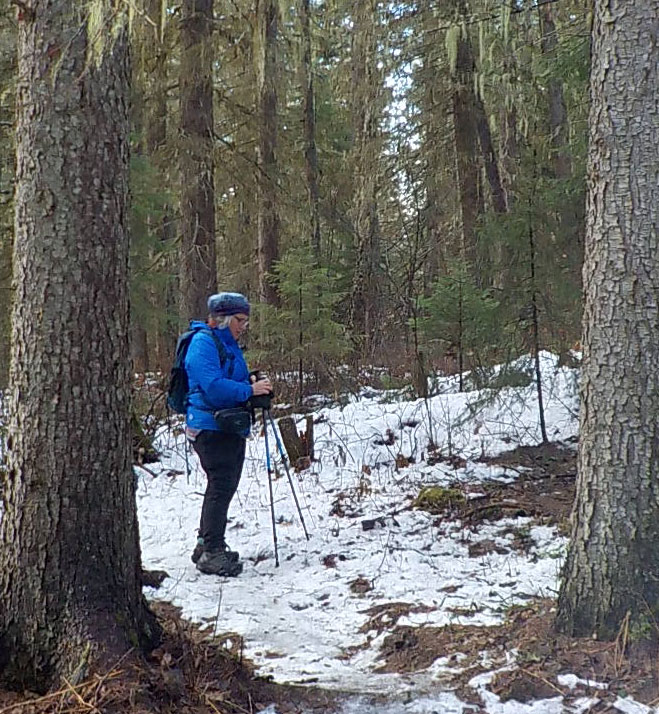 Forestry watchdog misses faulty math, but praised for calls to modernize biodiversity laws