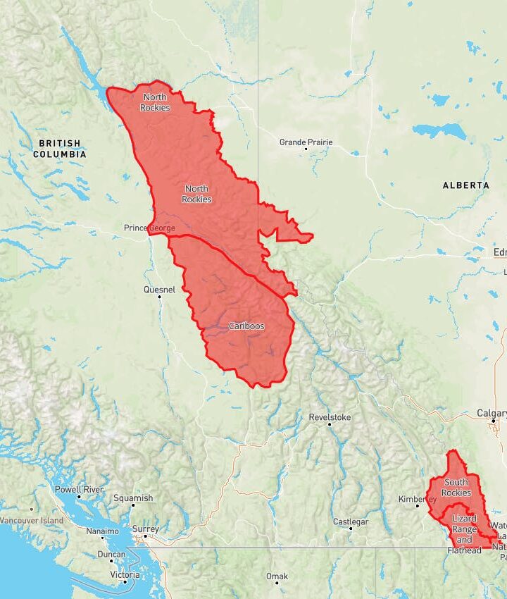 Avalanche Canada issues special avalanche warning for two B.C. regions