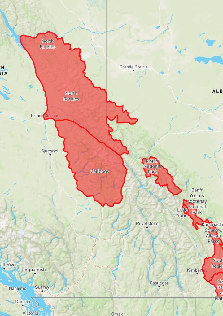 Avalanche Canada issues avalanche warning for parts of BC and Alberta