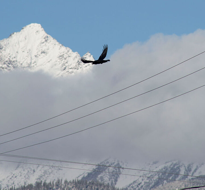 This week in photos: March 25th 2021