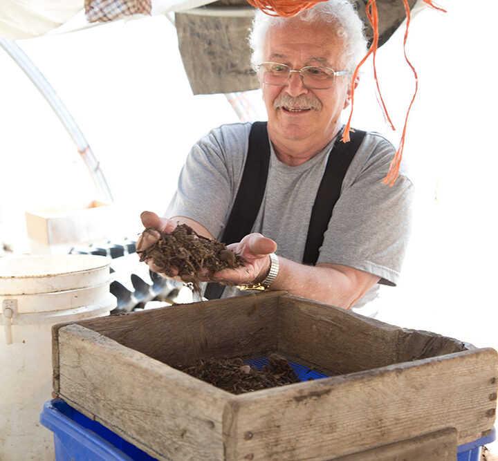 Black gold: a deep dive into composting