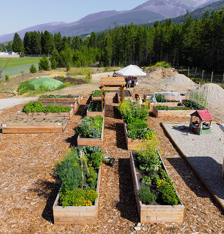 RVCS growing food security with community garden