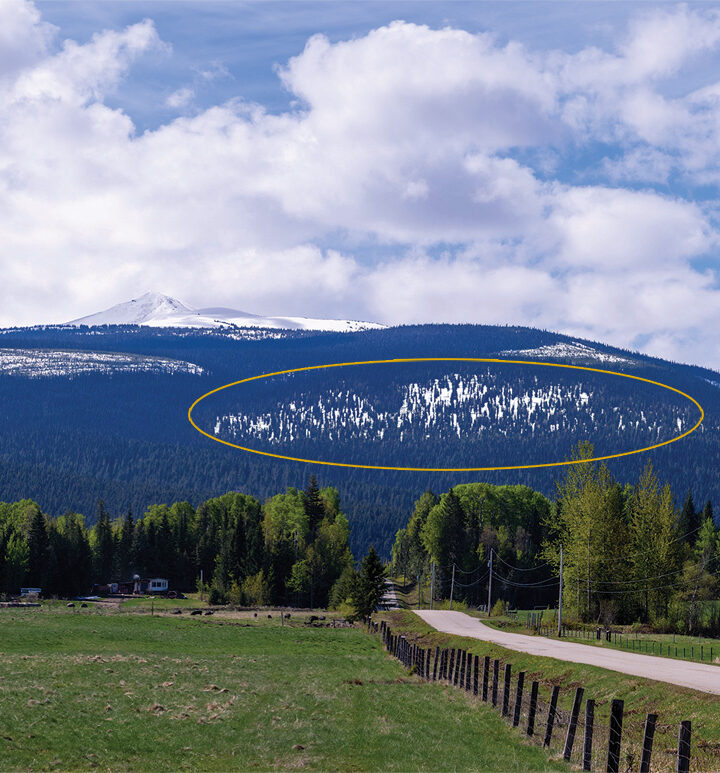 Computer-generated images will inform public of harvesting plans going forward: MCFC