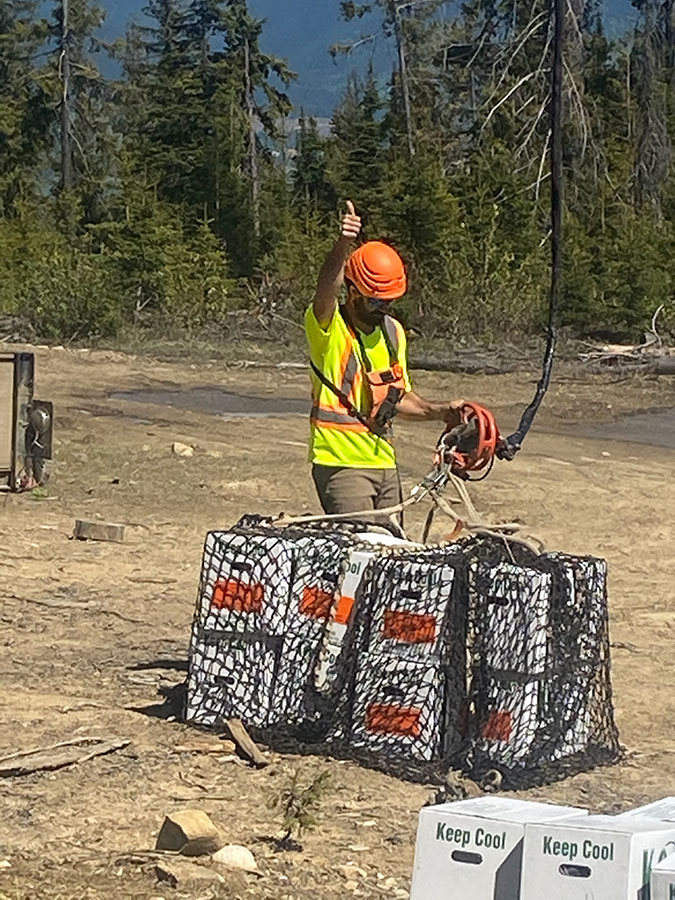 Valemount Community Forest forecasts a summer of road building, new blocks, beetle traps and firing up the new mill