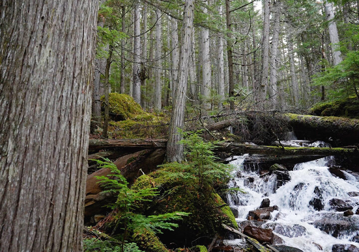 “Cold and wet” a real threat in the backcountry