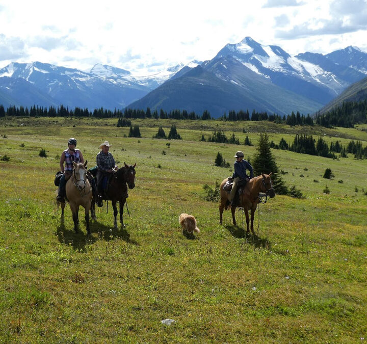 Non-Profit Spotlight: Back Country Horsemen new member round-up