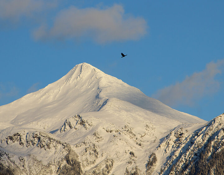 Soaring high