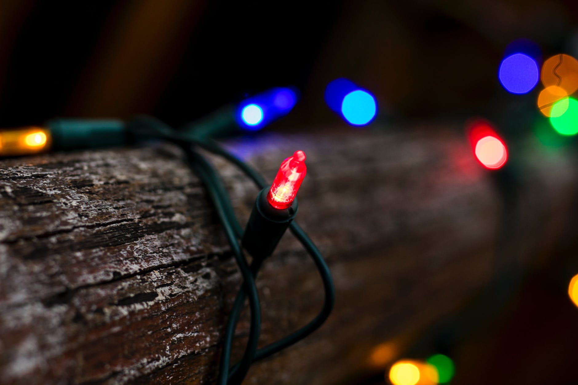 tilt shift lens photography of string lights