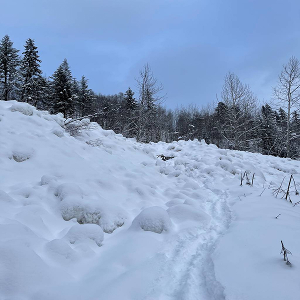 Berg Lake trail reopens for winter—with avalanche warnings