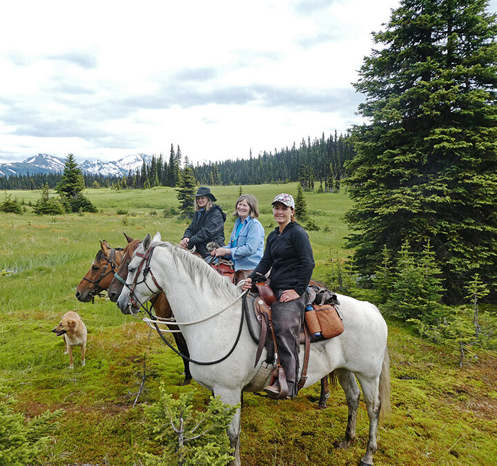 Rustic equine campground underway by local Back Country Horsemen