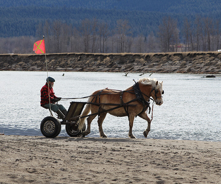 Running on one horse power