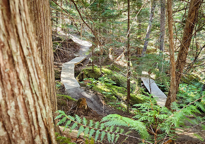 Zen Garden a great walk in the woods