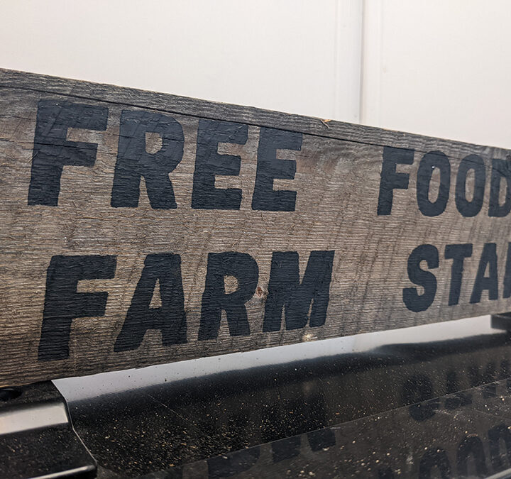 Free Food Farm Stand launches in Valemount