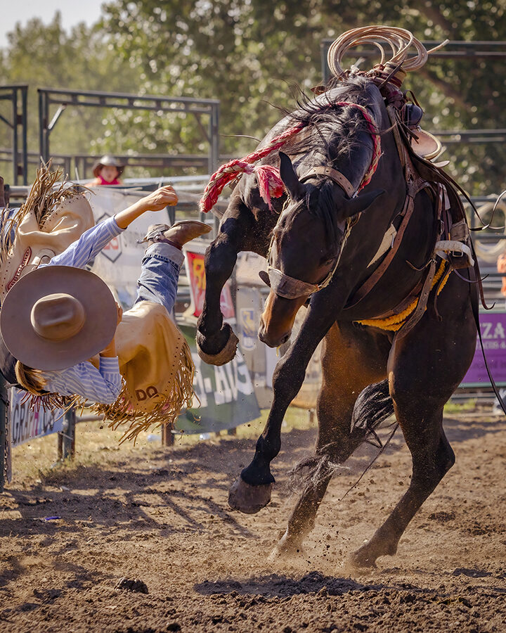 Local gal completes summer of bronc riding