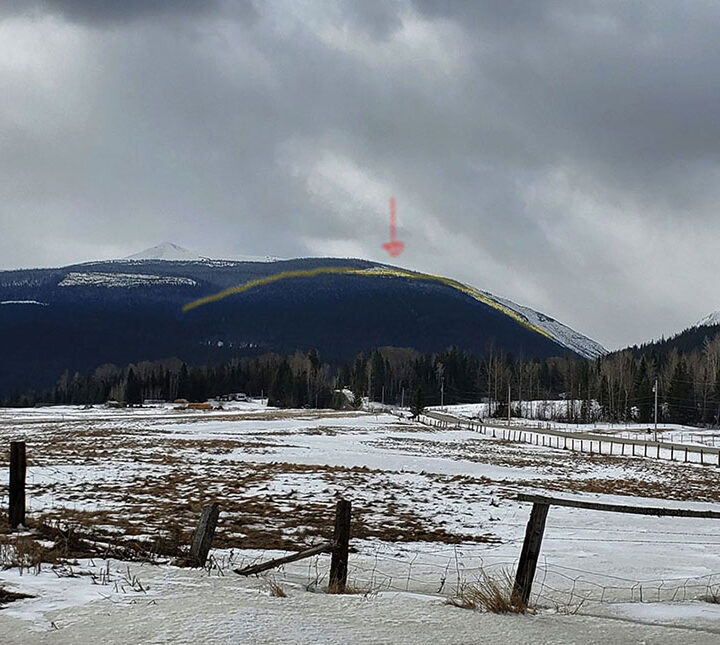 Lucille logging pits residents against community forest