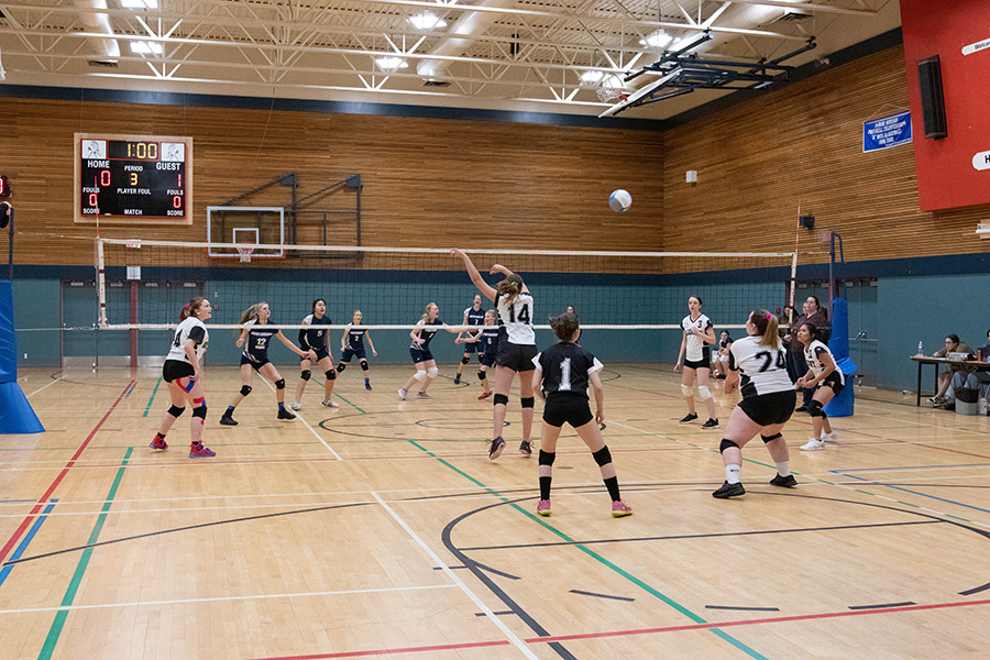 Mustang Volleyball Tournament - The Rocky Mountain Goat