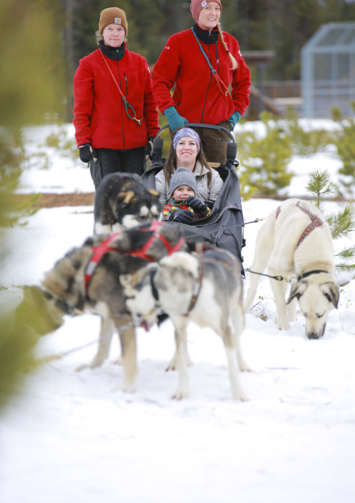 Winter Fest returns to Valemount