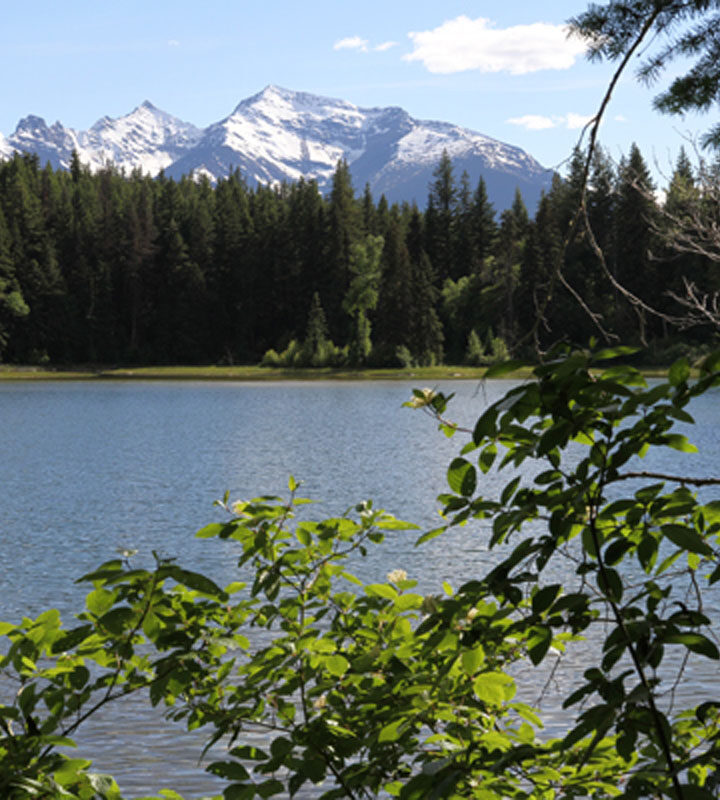 Little Lost Lake trail slated for upgrades