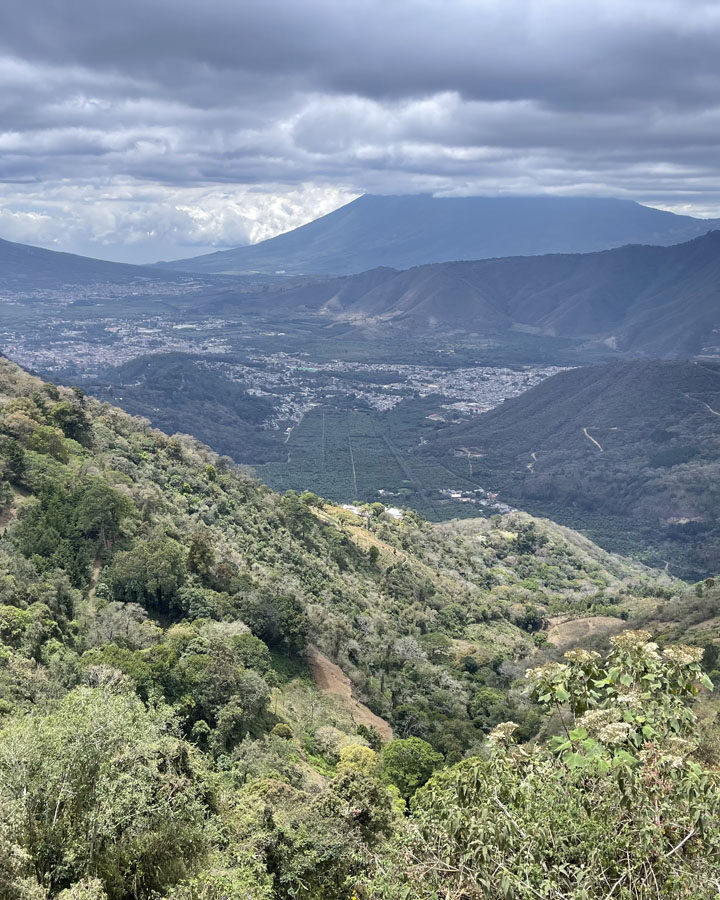 Local coffee roasters travel to Guatemala and meet coffee growers — surprises abound