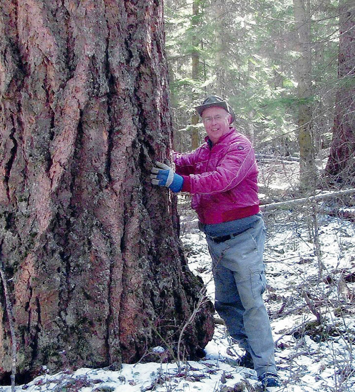 Local trees granted celebrity status