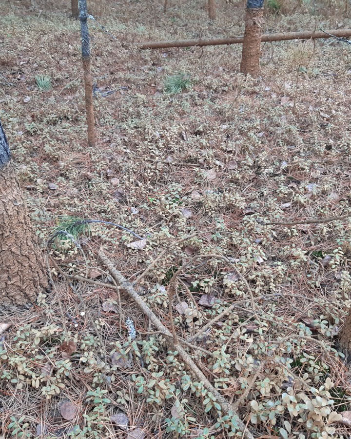 Rust-coloured dumping irks resident