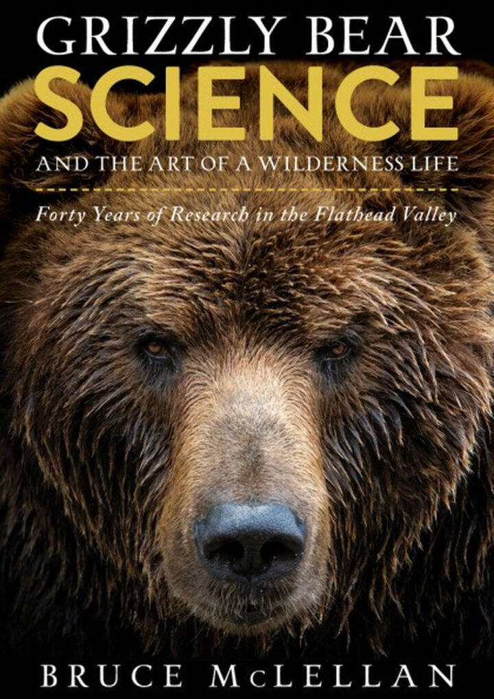 A big, beautiful bear of a book
