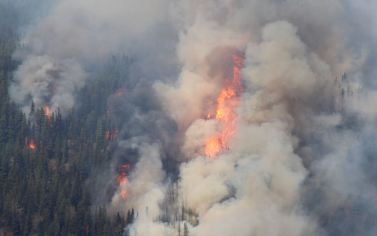 Fire bans in effect across Prince George Fire Centre - The Rocky Mountain Goat